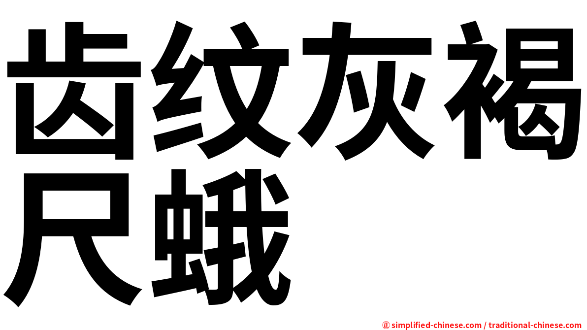 齿纹灰褐尺蛾