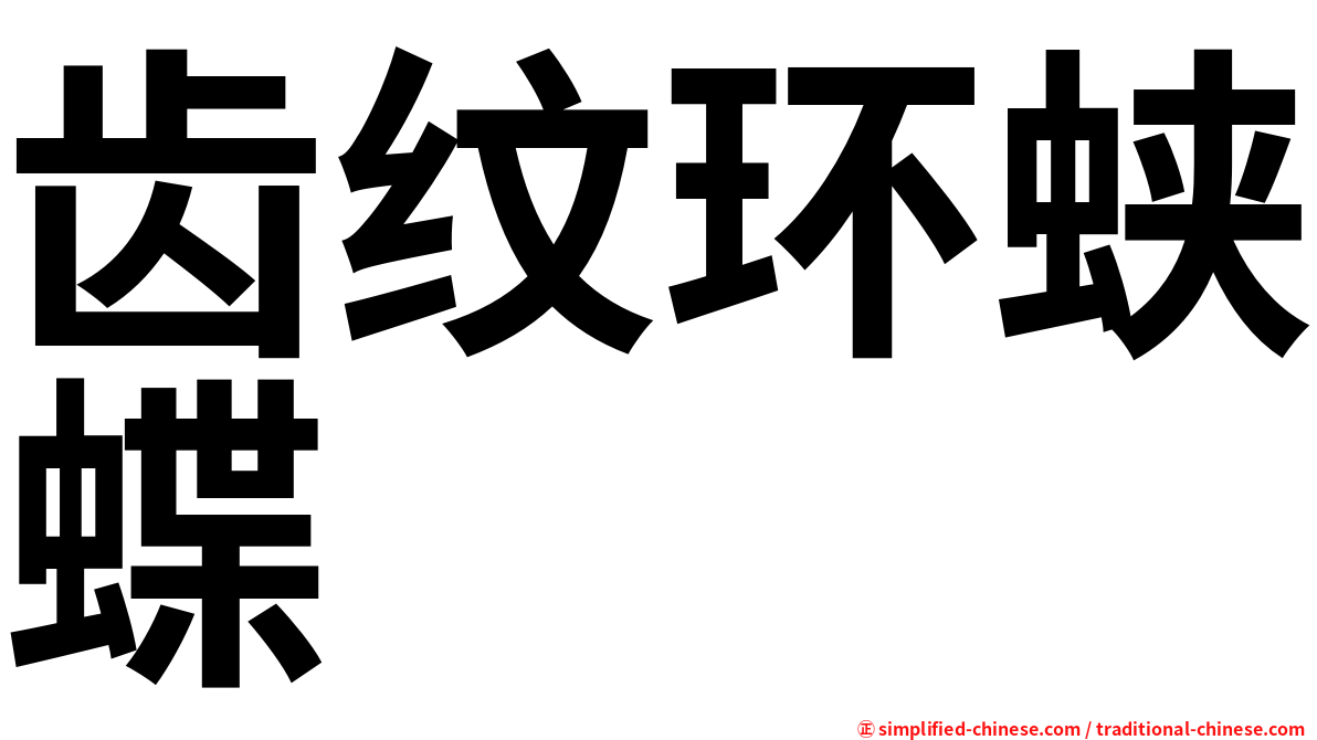 齿纹环蛱蝶