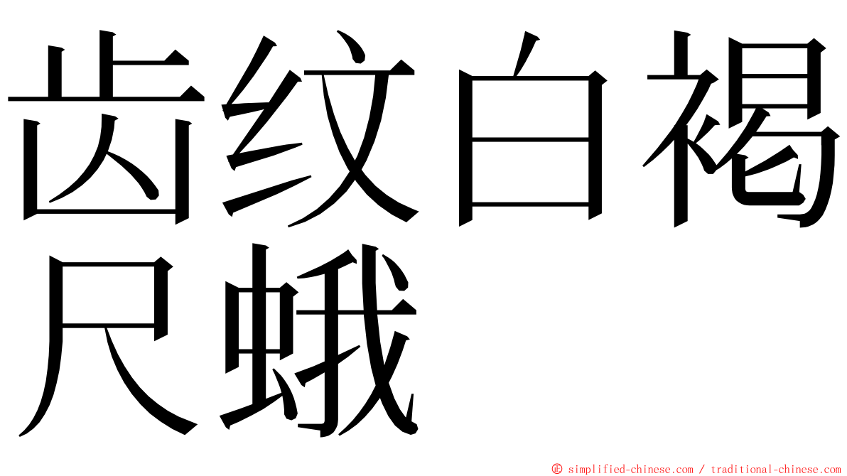 齿纹白褐尺蛾 ming font