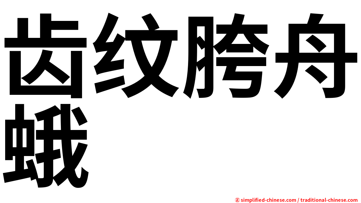 齿纹胯舟蛾