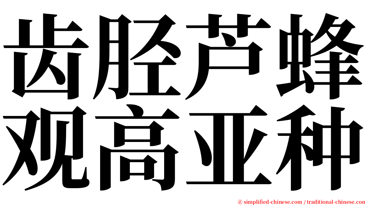 齿胫芦蜂观高亚种 serif font