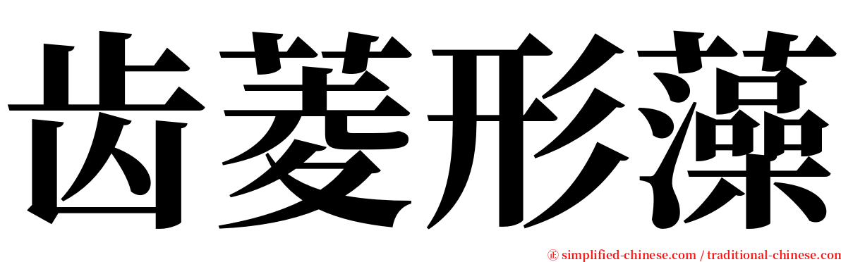 齿菱形藻 serif font
