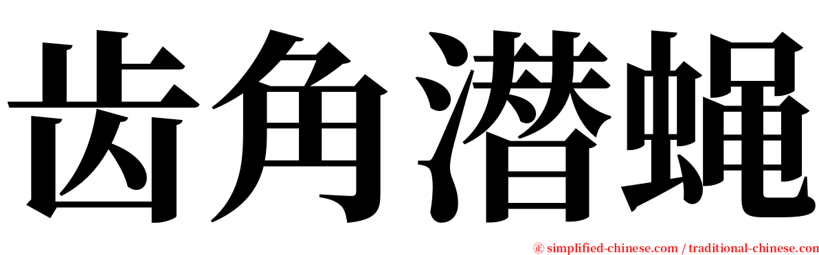 齿角潜蝇 serif font