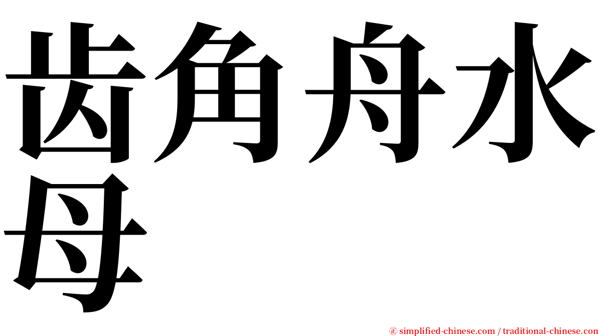 齿角舟水母 serif font