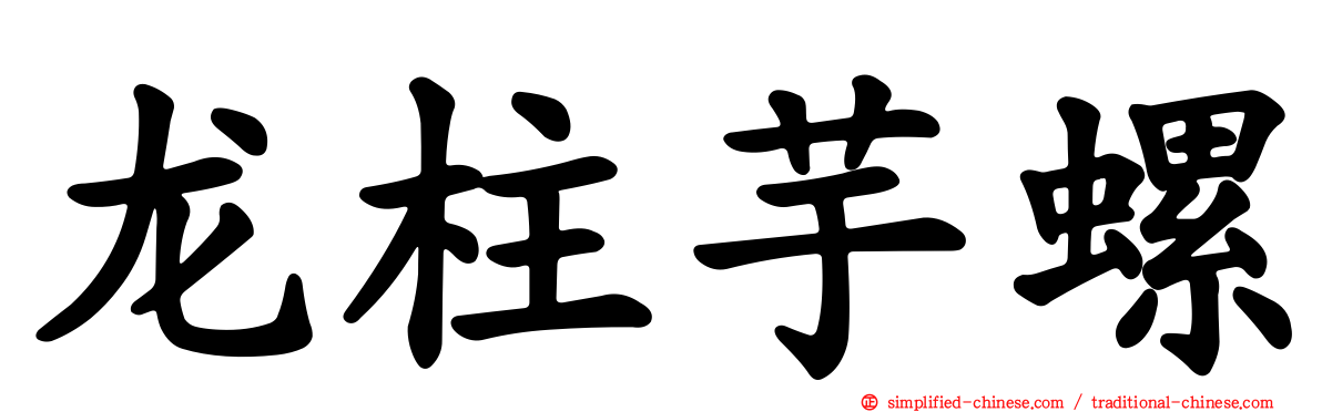 龙柱芋螺
