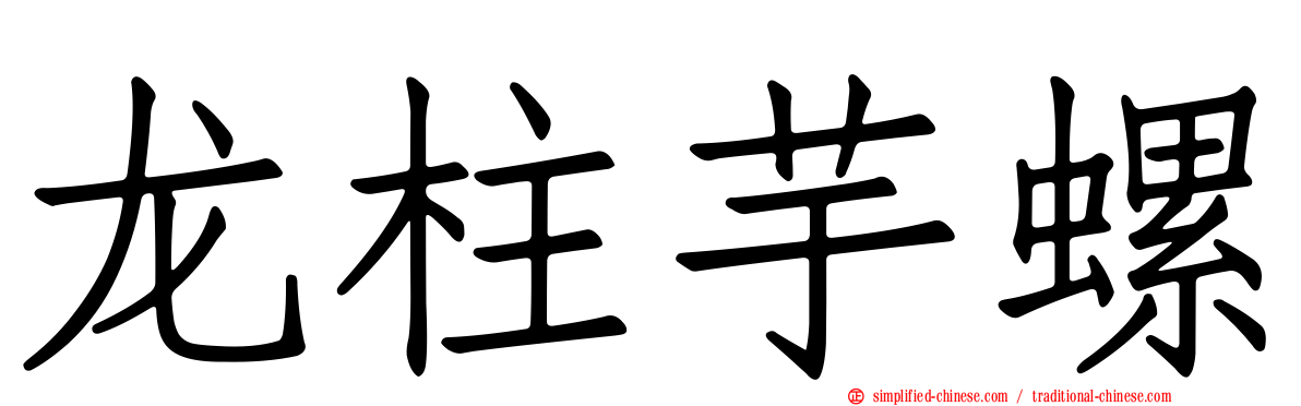 龙柱芋螺