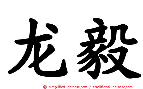 龙毅