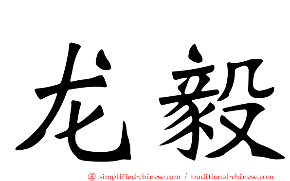 龙毅