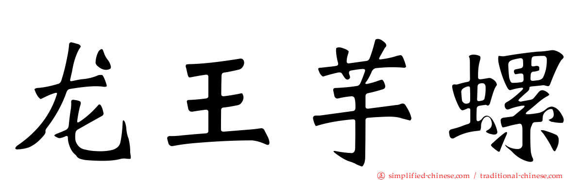 龙王芋螺