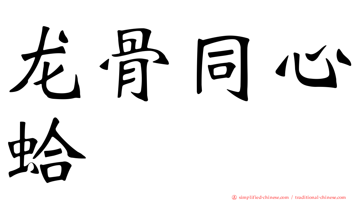 龙骨同心蛤