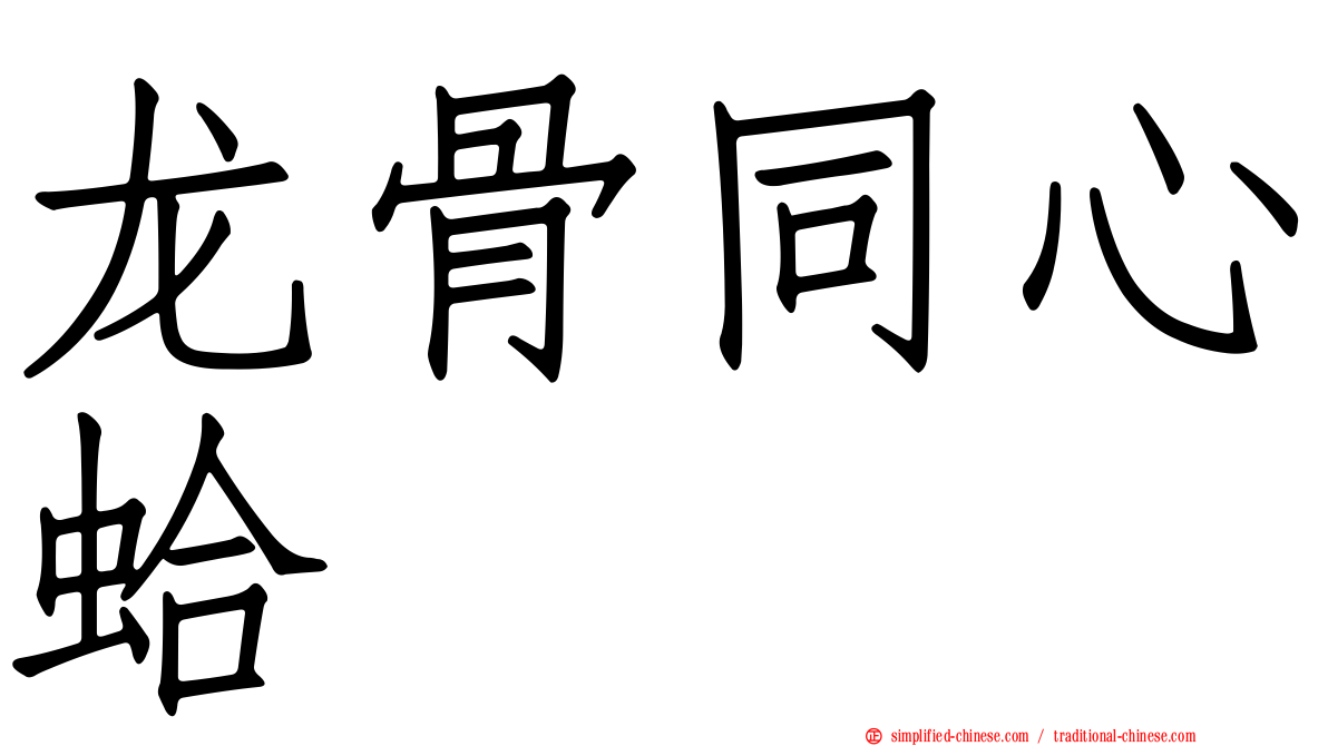龙骨同心蛤