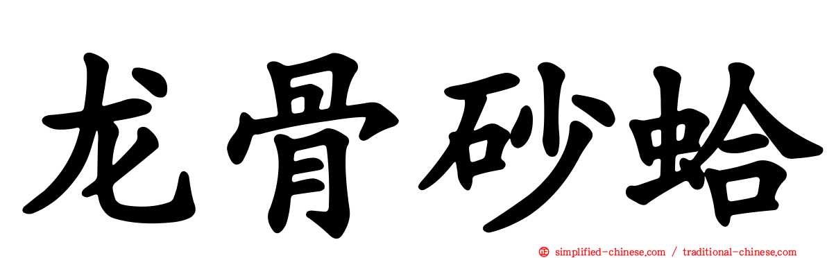 龙骨砂蛤