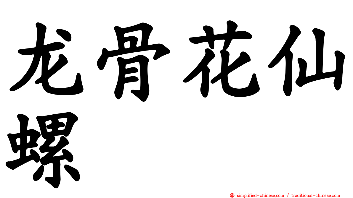 龙骨花仙螺