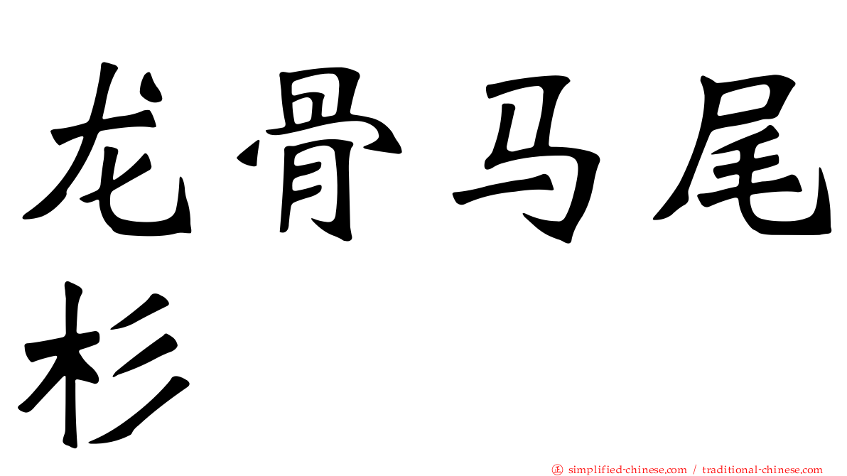 龙骨马尾杉