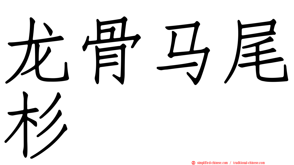 龙骨马尾杉