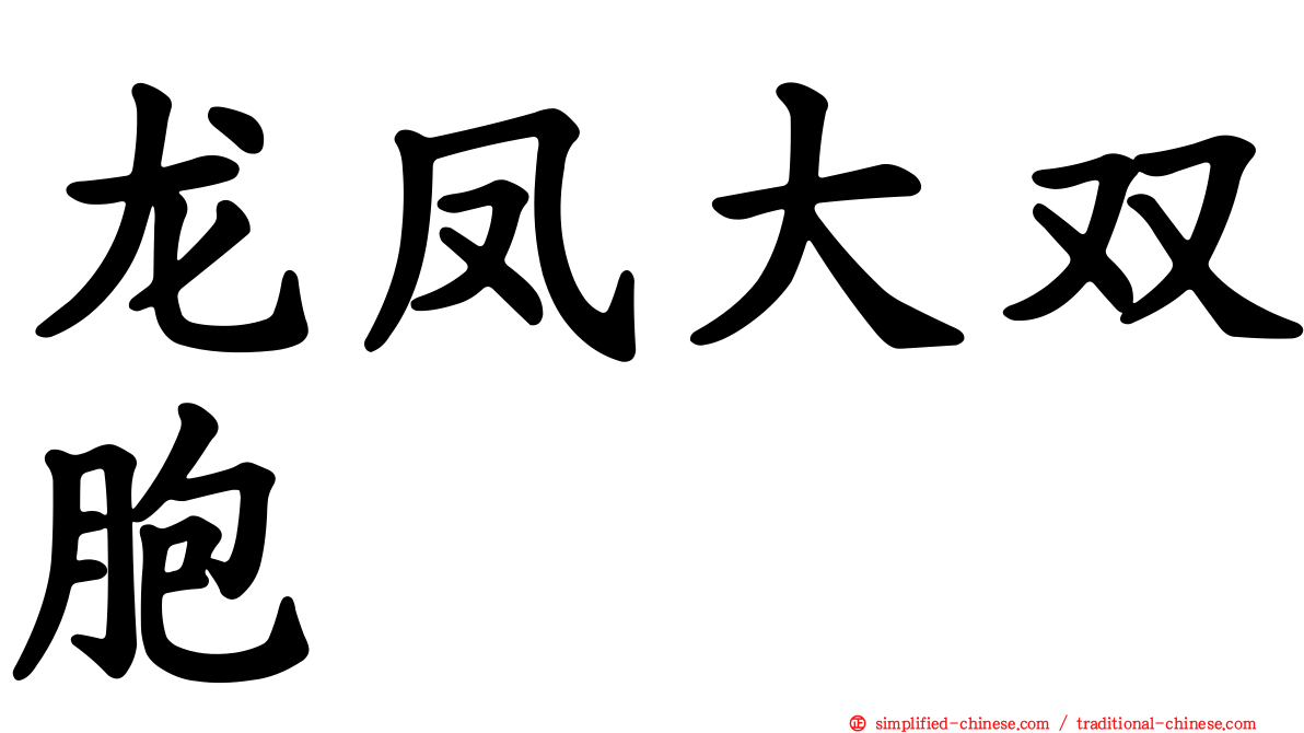 龙凤大双胞