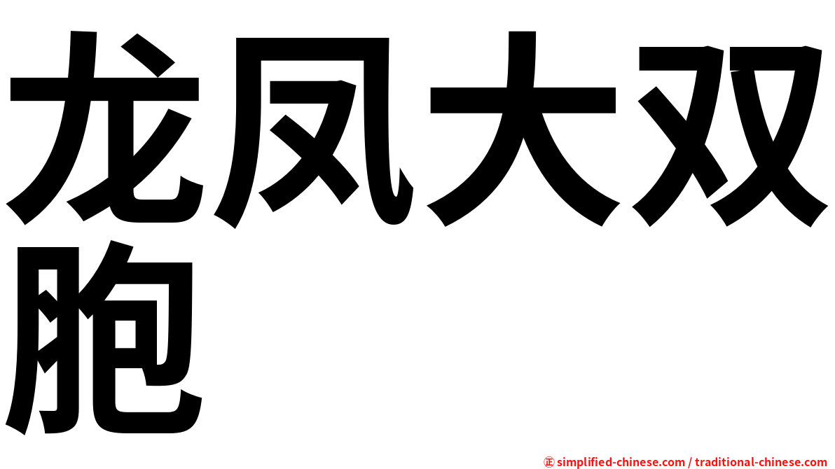 龙凤大双胞