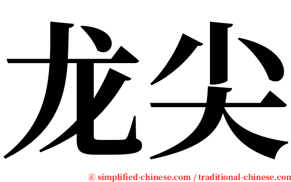 龙尖 serif font