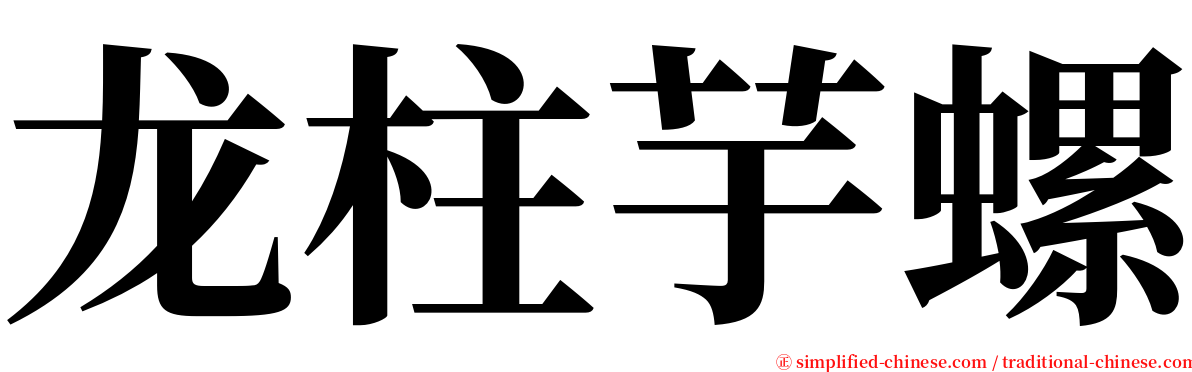 龙柱芋螺 serif font