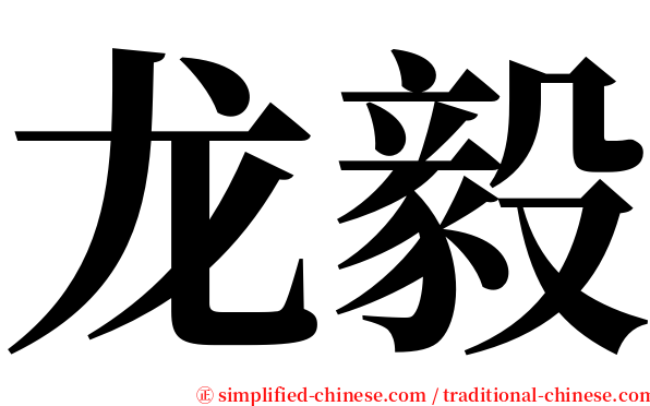龙毅 serif font