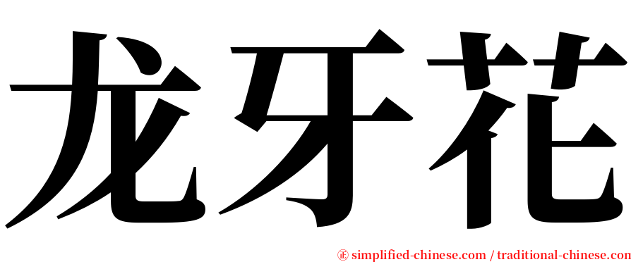 龙牙花 serif font