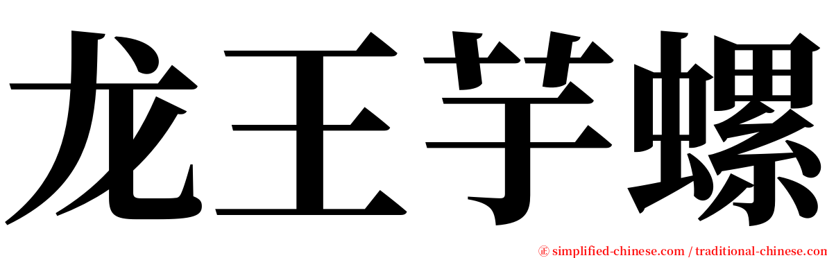 龙王芋螺 serif font