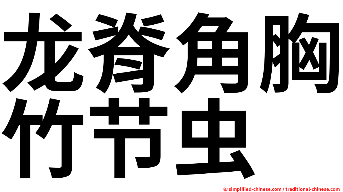 龙脊角胸竹节虫