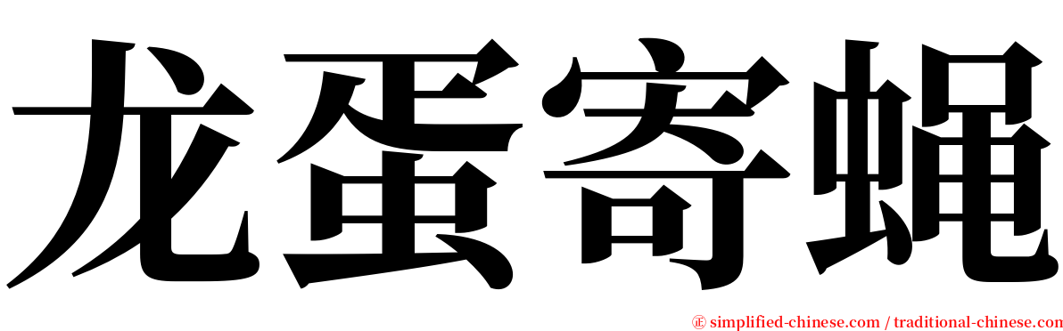 龙蛋寄蝇 serif font