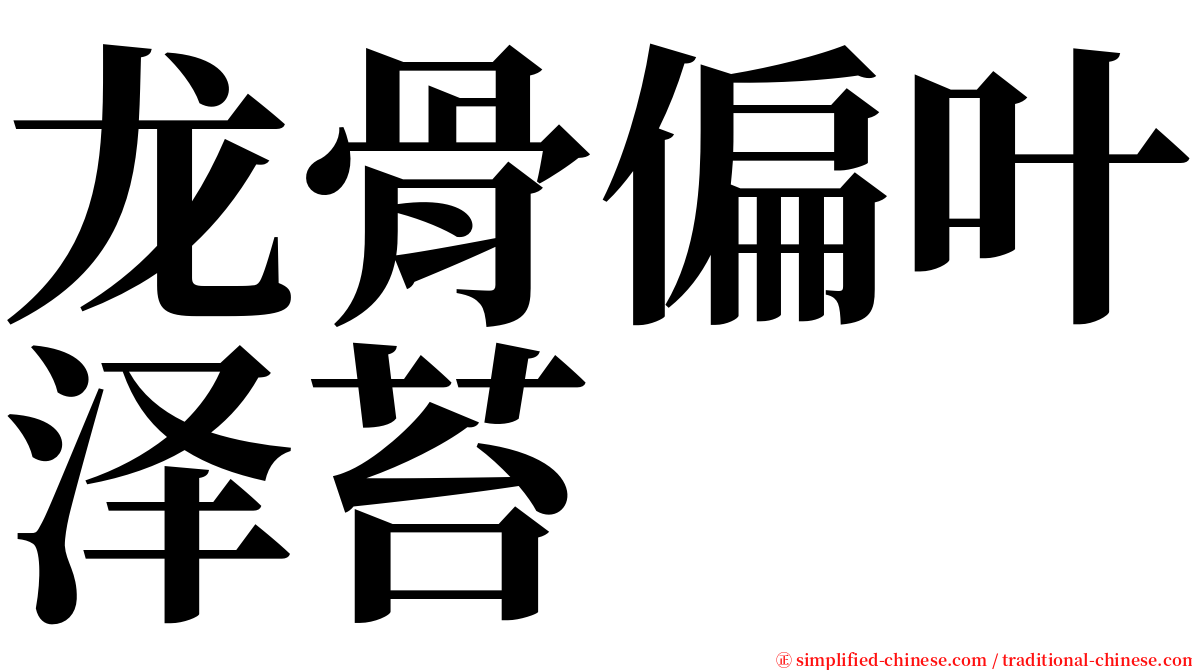 龙骨偏叶泽苔 serif font
