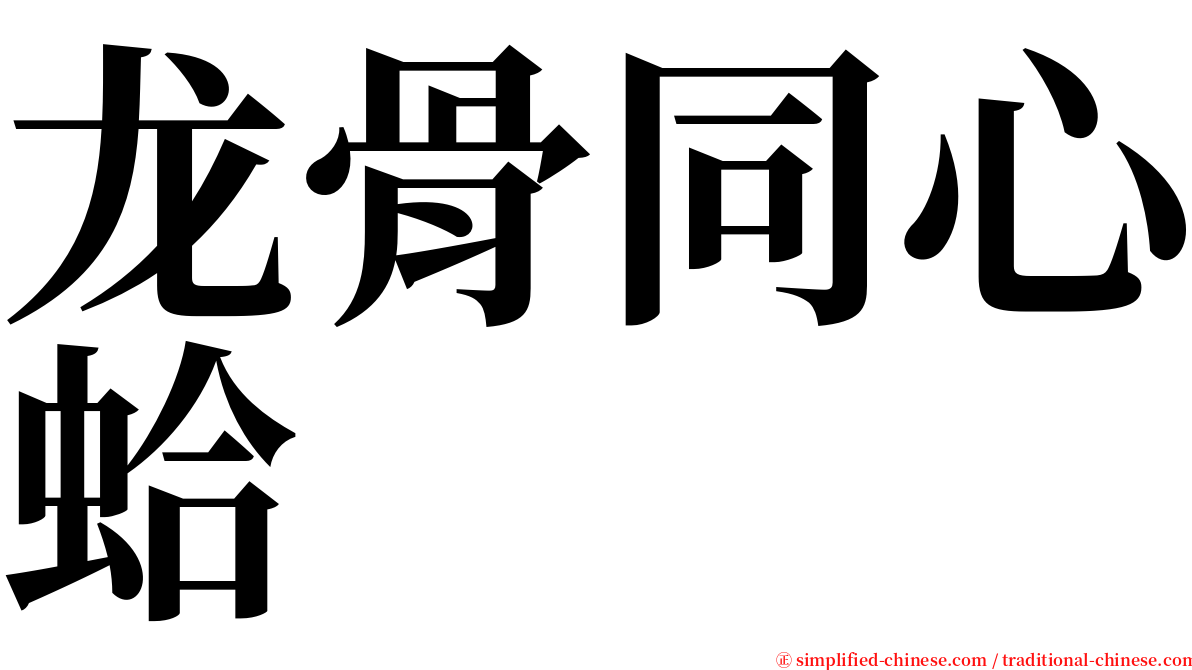 龙骨同心蛤 serif font