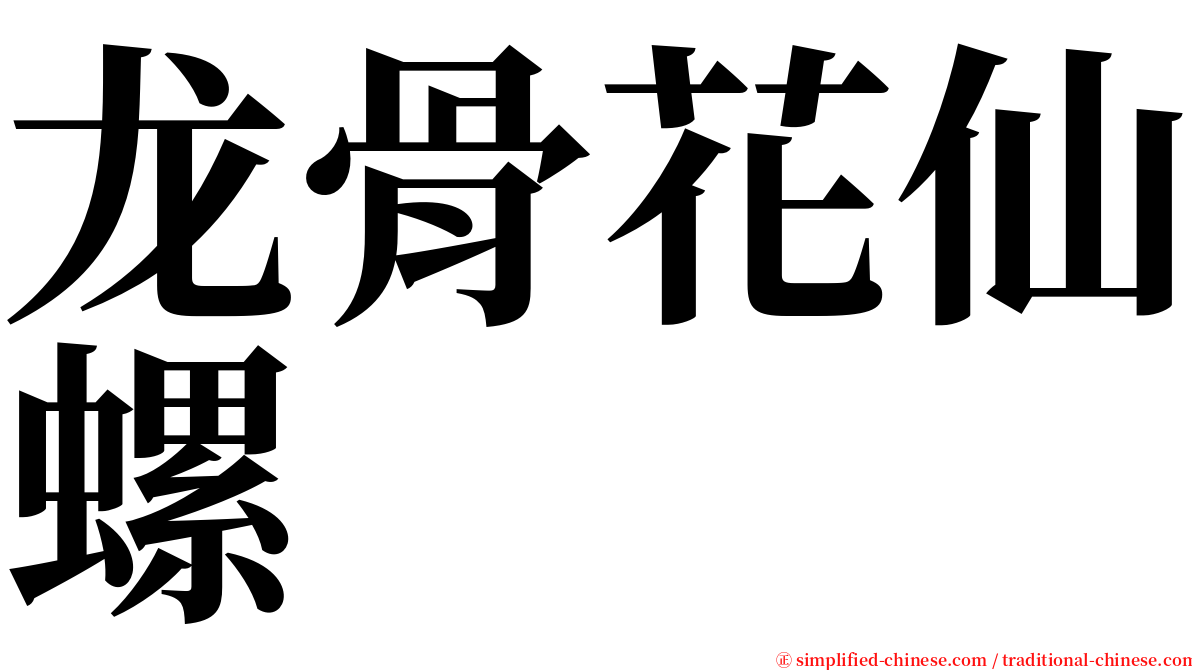 龙骨花仙螺 serif font