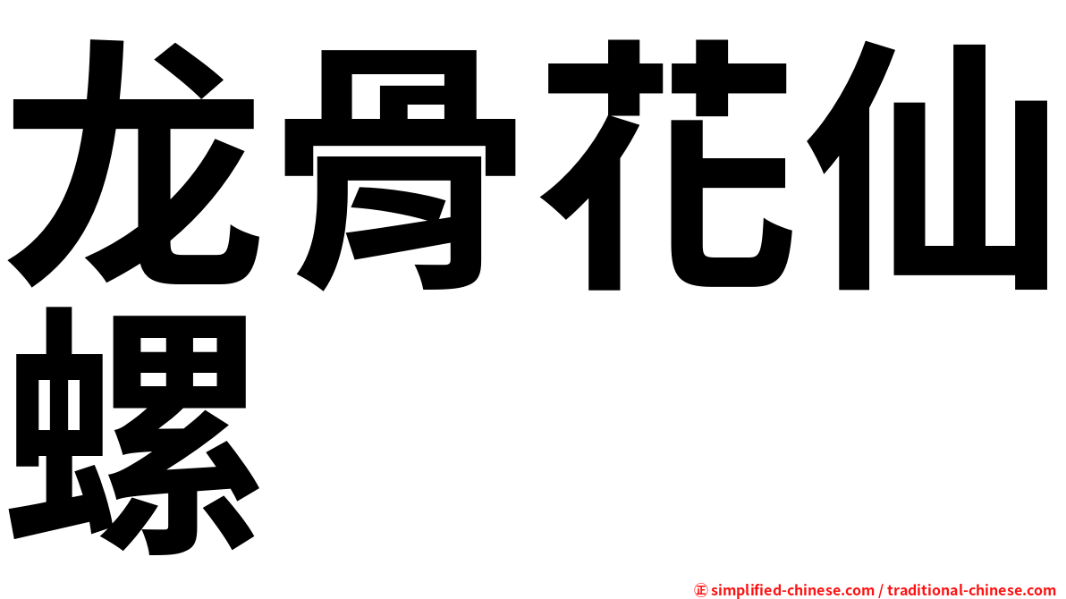龙骨花仙螺