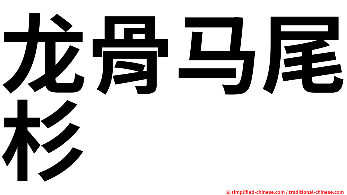 龙骨马尾杉