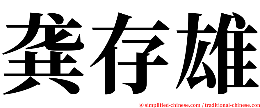 龚存雄 serif font