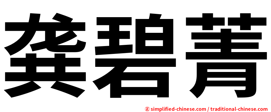 龚碧菁