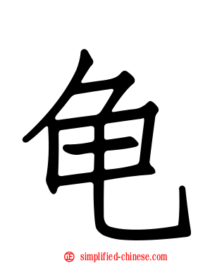龟