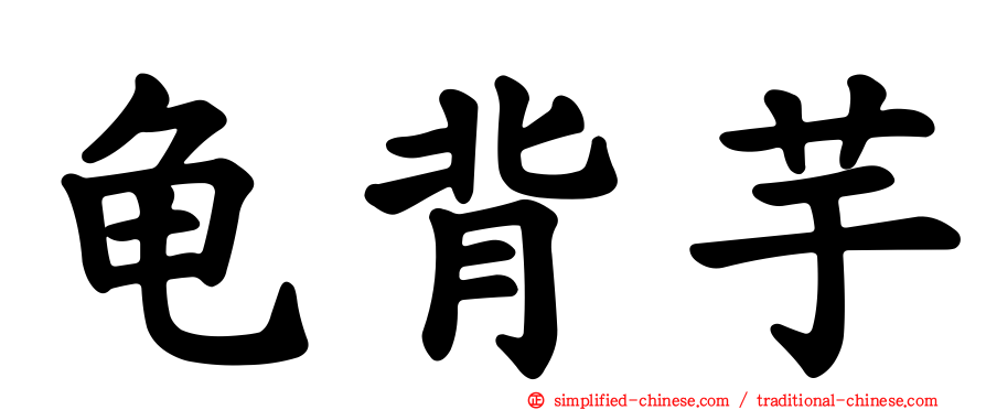 龟背芋
