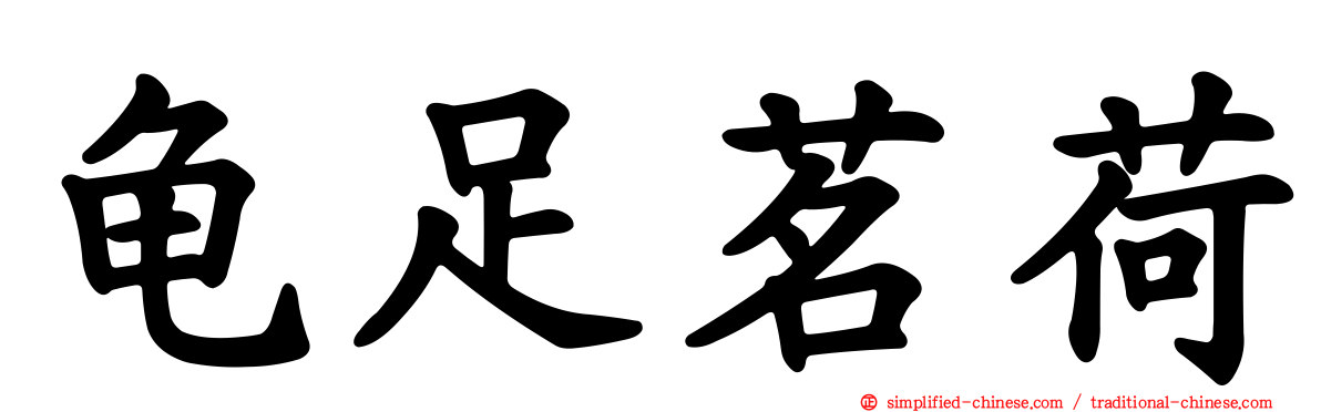 龟足茗荷