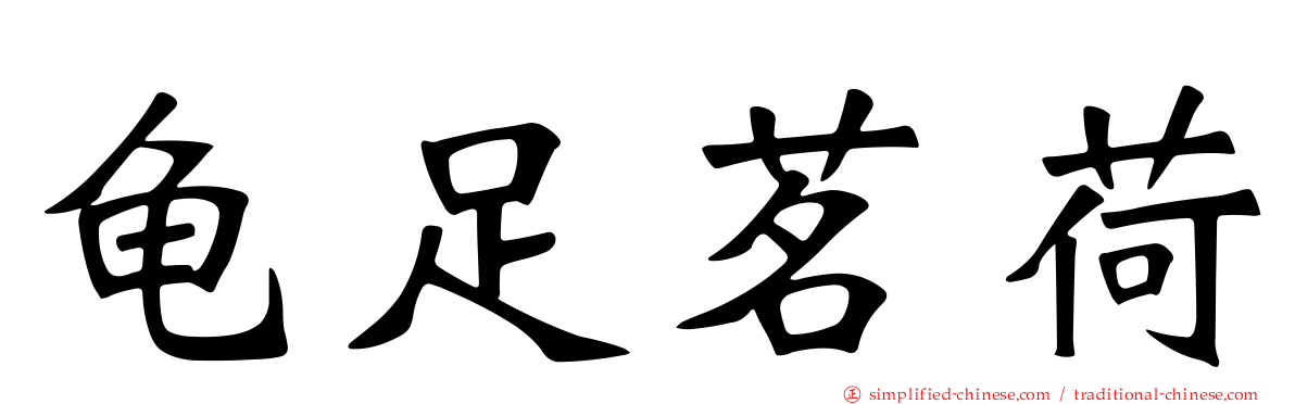 龟足茗荷