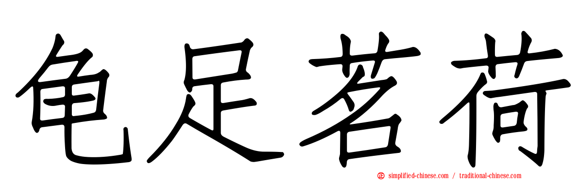 龟足茗荷