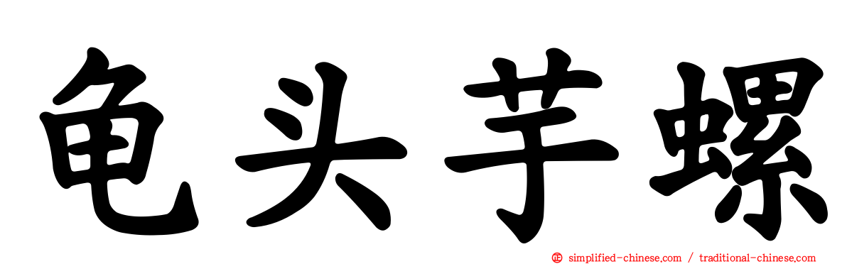 龟头芋螺