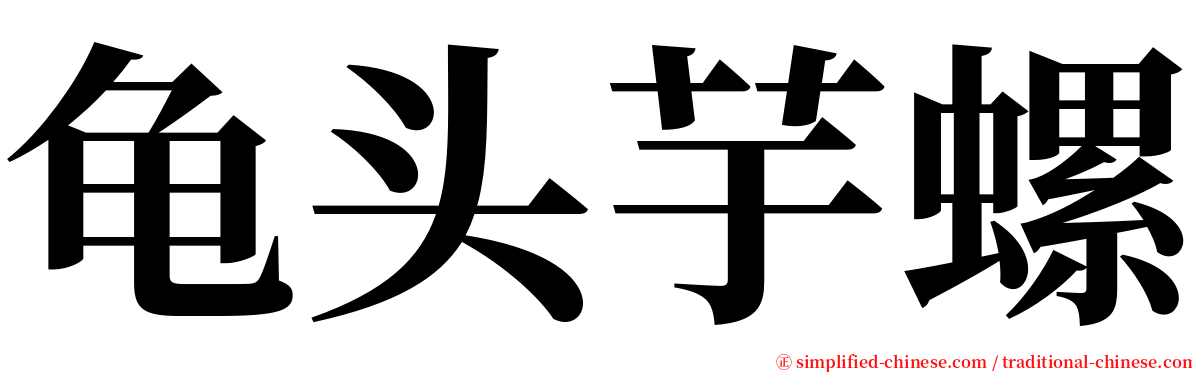 龟头芋螺 serif font