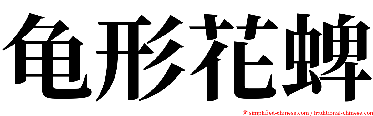 龟形花蜱 serif font