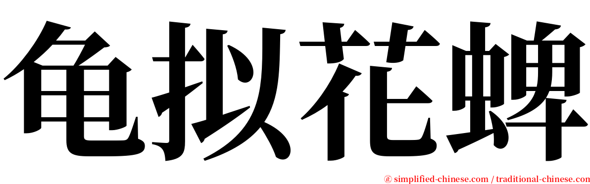 龟拟花蜱 serif font