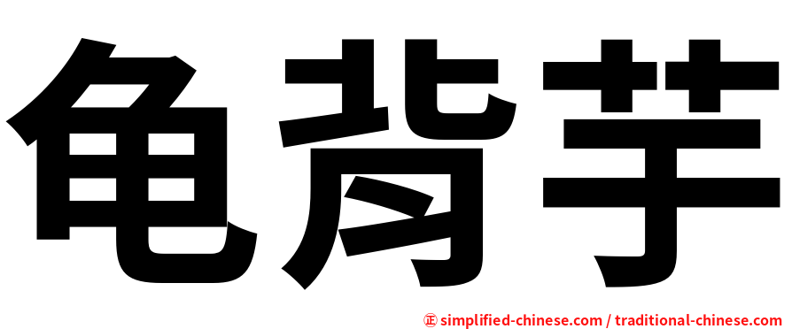龟背芋