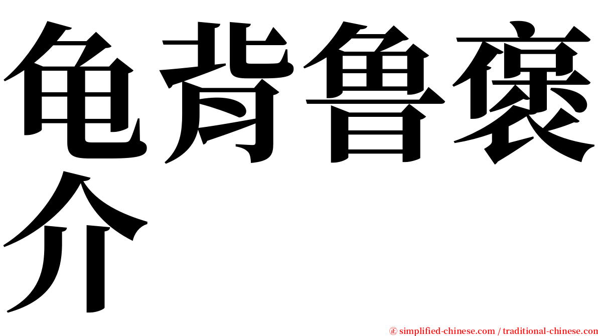 龟背鲁褒介 serif font