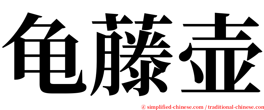 龟藤壶 serif font