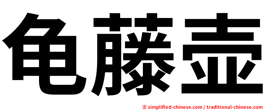 龟藤壶