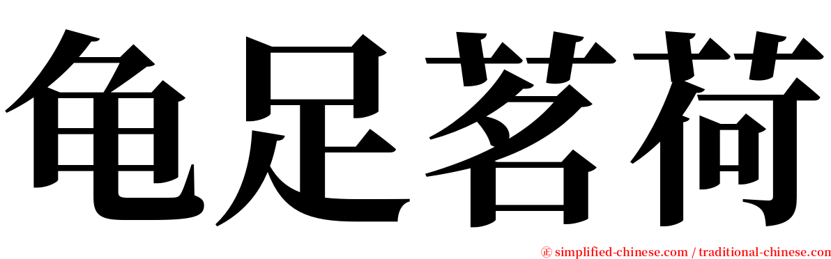 龟足茗荷 serif font