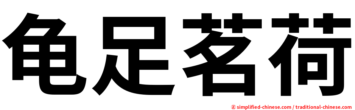 龟足茗荷